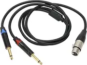 Dual 6.35mm Male to XLR Female, 1 X XLR 3 Pin Female to 2 X 6.35mm TS Male Single Plug, 1/4 Inch to (#1)