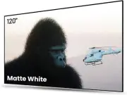 AWOL VISION 120" Fixed Frame Projector Screen,4K / 8K Ultra HD,1.3 dB Peak Gain