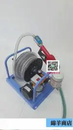 12V24V220柴油汽油電動抽油泵加油泵自吸泵計量加油槍加油機防爆