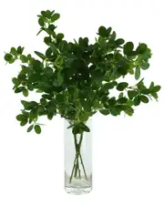 Creative Displays Organic Modern Boxwood Spray Arranged In Glass Vase