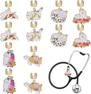 OLYCRAFT 12Pcs 6 Styles Stethoscope Charms Animal Theme Alloy Enamel Stethoscope Pendant Decorations Stethoscope Id Name Tag with Findings Nurse Stethoscope Accessory for Women Graduation Vet Doctor