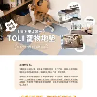 在飛比找Yahoo!奇摩拍賣優惠-TOLI AK350 日本寵物防滑地墊40x40cm*10片