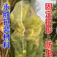 在飛比找蝦皮購物優惠-#！大促預熱雙十二！~香蕉套袋,定型袋