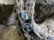 Tree Of Life Colorful Abalone Sterling Silver 925 Small Petite Post Earrings N68