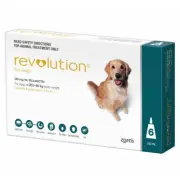 Revolution for Dogs 20.1-40kg - Teal 6 Pack