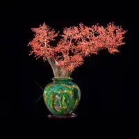 在飛比找Viva TV優惠-富貴傳家台灣珍稀雙國寶珊瑚樹