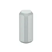 XE300 X-Series Portable Wireless Speaker (Grey)