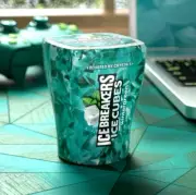 Ice Breakers Ice Cubes WINTERGREEN Sugar Free Flavored Gum 40 pieces