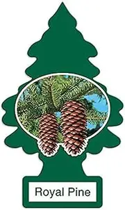 Little Trees Air Freshener - Royal Pine - Car & Home & Office