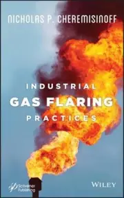 Industrial Gas Flaring Practices by Nicholas P. Cheremisinoff (English) Hardcove