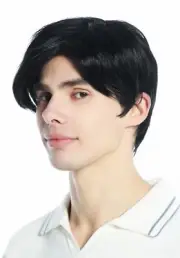 Wig Men's Wig Short Smooth Parted Parting Black Jet Black Wig