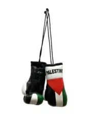 Mini Palestine Boxing Glove / Palestine Flag / Palestine Boxing Glove