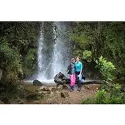 Save 10.00%! Cloud Forest & Waterfalls Half-Day Hike