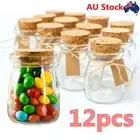 12pcs Small Glass Bottles With Cork Lids Mini Mason Jar for Wedding Favors DIY