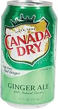 Canada Dry Ginger Ale Diversion Safe