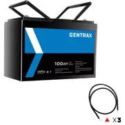 Gentrax 12V 100Ah Lithium Battery + 3* 2AWG 1.5m Connector Cable Black M8 Lug