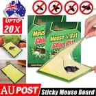 1~20Pcs Mouse Traps Rat Mice Mouse Trap Board Snare Catcher Board AU