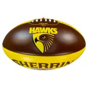 AFL Hawthorn Hawks Team Icon Ball