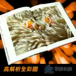 【AC草影】我的第一隻海水魚 小丑魚【一本】工具書 海水魚 參考書 海水缸入門