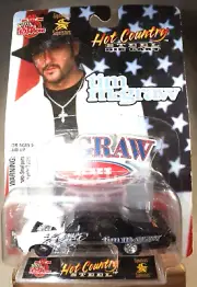 1999 Racing Champions Hot Country Signature Superstar #24 Tim McGraw PONTIACGTO