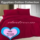 NEW 1000 thread count Egypt Cotton King Single Fitted Sheet Sets ChillyRed Color
