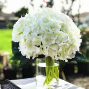 Artificial Silk Hydrangea Flower Arrangement in Clear Glass Vase with Faux Water