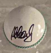 ✺Signed✺ ALYSSA HEALY Cricket BALL Australia Stars Scorchers WBBL