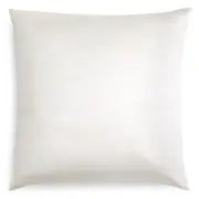 Gingerlily Silk Solid Euro Sham