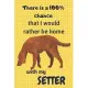 There is a 100% chance that I would rather be home with my Setter Dog: For Setter Dog Fans