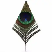 New Sculptured Peacock Spear Feather - Wholesale Feathers & Craft Supplies