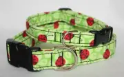 LADYBUG DOG COLLAR SPRING RED AND GREEN CUSTOM MADE CUTE! CUSTOM MADE TO ORDER