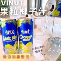 在飛比找蝦皮購物優惠-【今晚饗吃】Vinut-果粒椰子汁325ml(固9.6g)