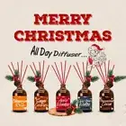 100ml Reed Diffuser Sets Reed Reed Diffusers New Fragrance Home Decoration