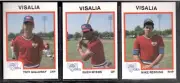 1987 Pro Cards Visalia Oaks 27-card Minor League Team Set Greg Myers