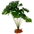 Ornamental Widely-used Lizard Terrarium Plant Reptile Tank Layout Landscaping