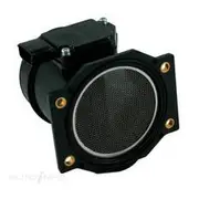 RAE Mass Air Flow Sensor - AM2J200N