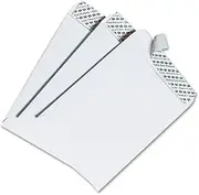 Quality Park 6 x 9 Catalog Envelopes with Self Seal Closure, for Mailing, Storage and Organizing, 28 lb. White Wove, 100 per Box (QUA44182)