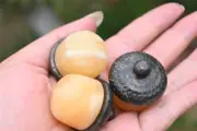 1.5" Natural Geodes stone Pine cone hand carved reiki Crystal decor heal gift 1x