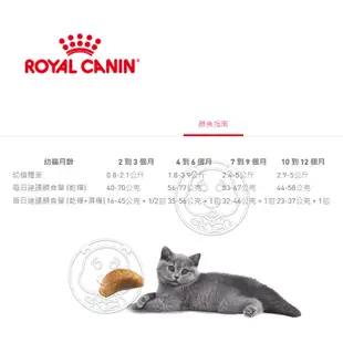 《ROYAL CANIN 法國皇家》FBN 英國短毛幼貓 BSK38 2KG 10KG 【培菓寵物】