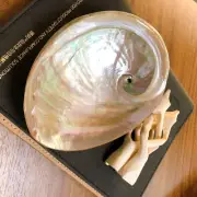 Set of Abalone sage Smudging Bowl and white wood stands. A++ size White Abalone