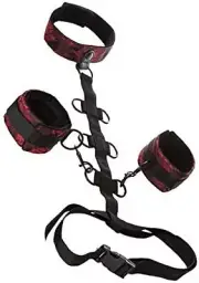 Scandal Collar Body Restraint with Cuff & Collar Bondage BDSM Fetish Submissive