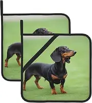 Dachshund Potholders BBQ Pot Holders for Heat Resistant Potholder, Hot Pads,Cooking Baking(2-Pack)