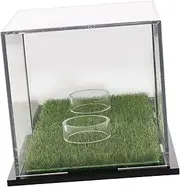 Alipis Golf Ball Display Case Clear Holder for Single Golf Ball Collection and Elegant Storage for Collectors for Showcasing Memorabilia and Keepsakes