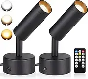 2 Pack LED Spot Lights Indoor, 3000K/4000K/5000K Uplighting Spotlight with Timer and Remote Control, Floor Lamp for Plant Artwork Pictures Black