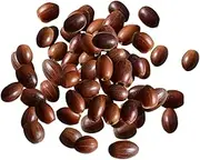 Generic 100Pcs Acorns for Home Decor and DIY Projects, Natural Acorn, as described