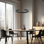 Lucid LED Pendant Light Round in Black or Wood