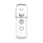 30ml Mist Sprayer Steamer Humidifier Portable USB Rechargeable Face6223