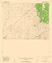 Topographical Map - Guadalupe Canyon Arizona Quad - USGS 1958 - 23 x 27.83