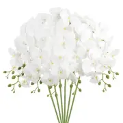 6 Pcs Artificial Phalaenopsis Orchid Stems Real 6 PCS White With Yellow Core