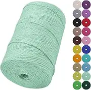 LEREATI Jute Twine String, 2mm 656 Feet Natural Garden Twine for Crafts, Colored Jute Rope 3-Ply Hemp String for Gift Wrapping, Gardening, Wedding and Christmas Decorations (Aqua Blue)
